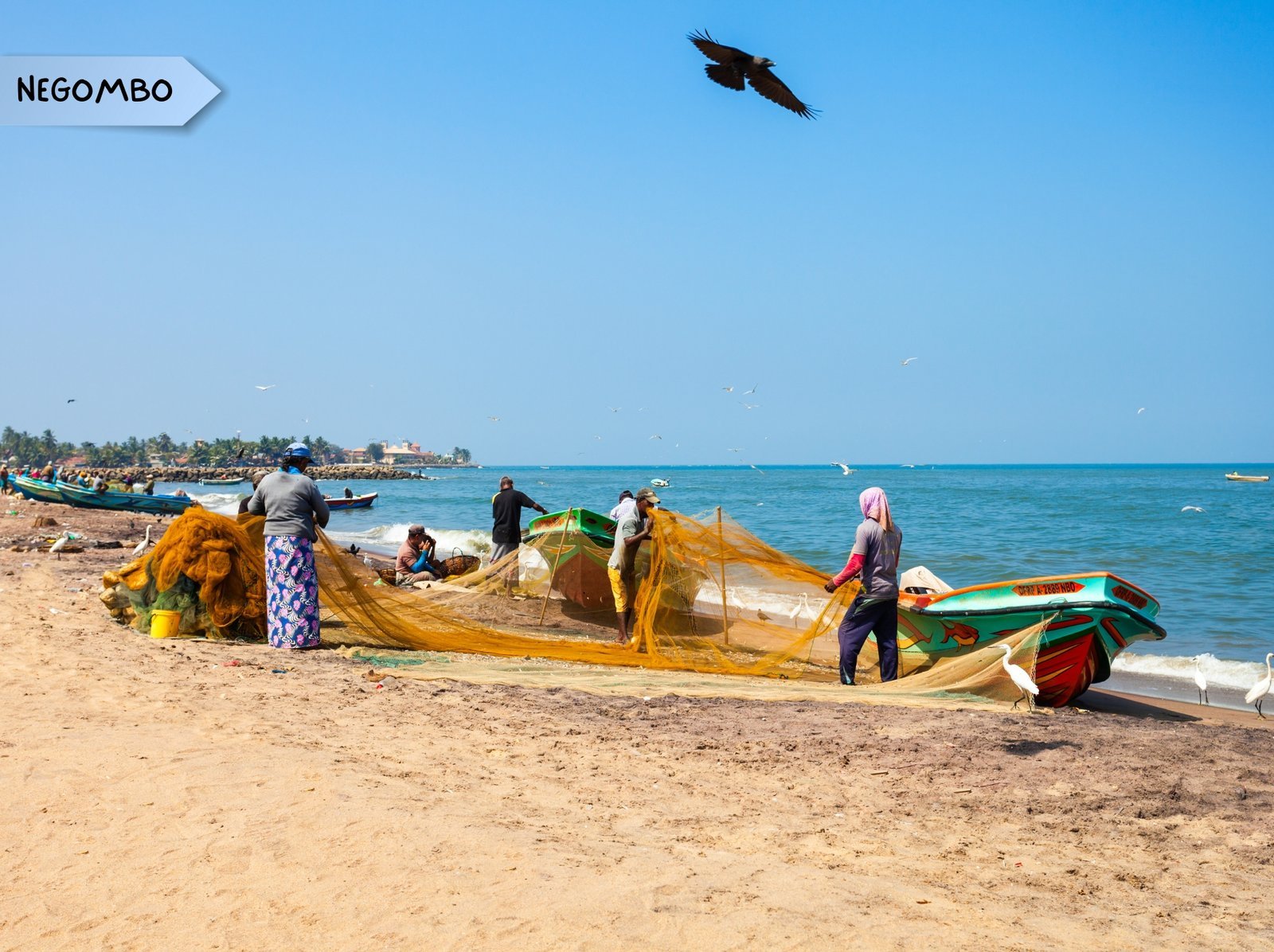 10 DAYS 9 NIGHTS (29)