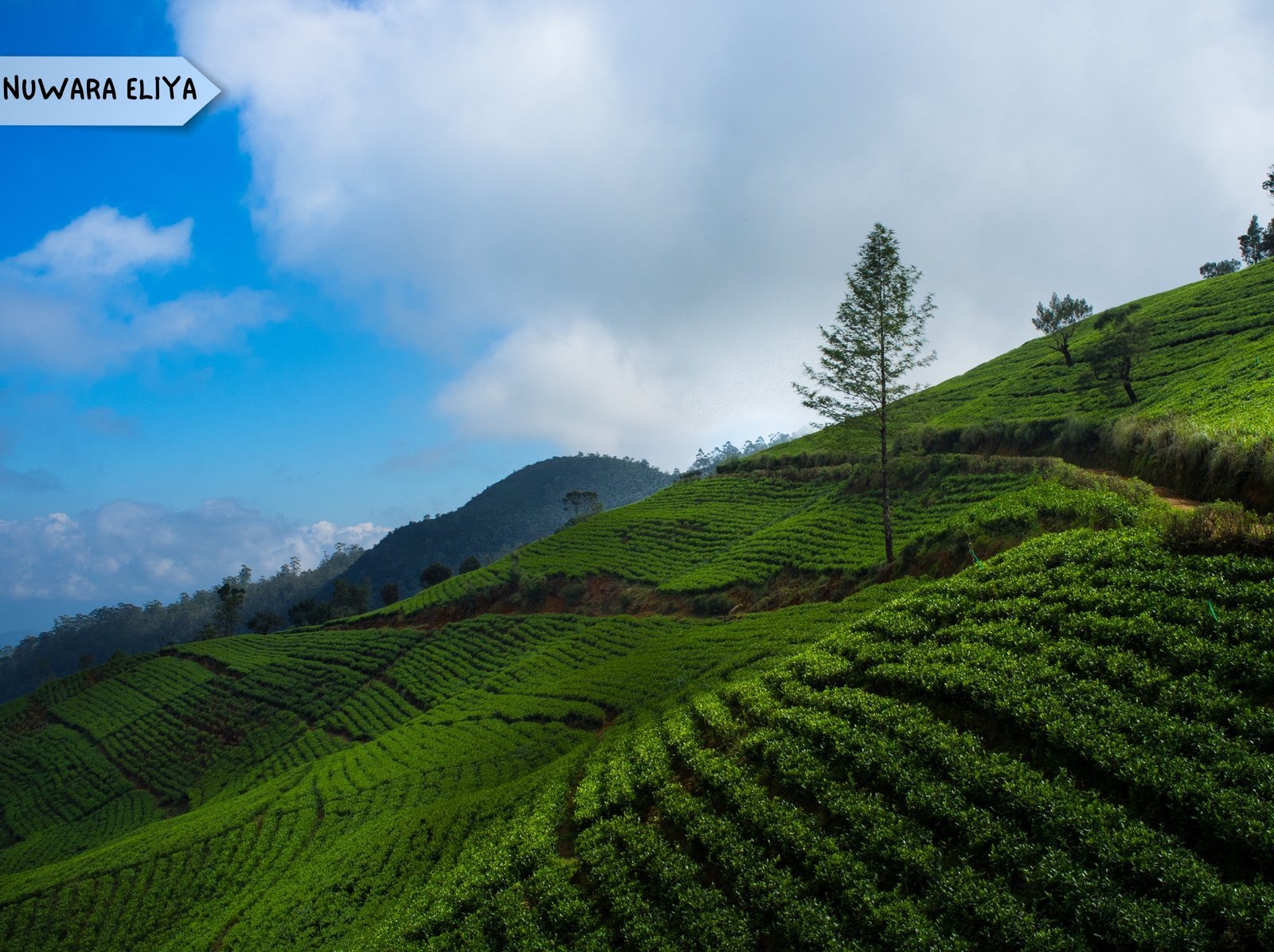 11 DAYS 10 NIGHTS (16)