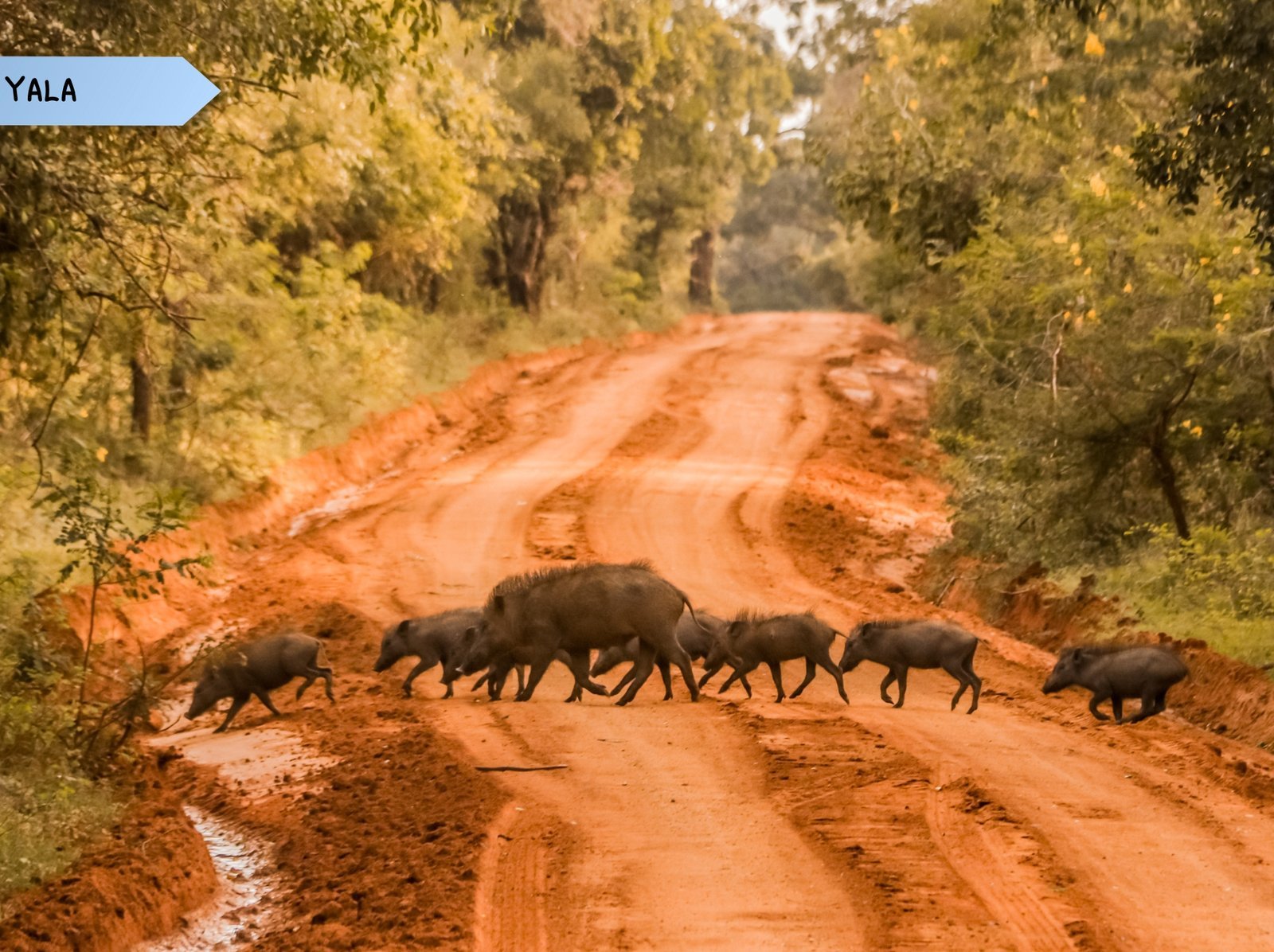 11 DAYS 10 NIGHTS (27)