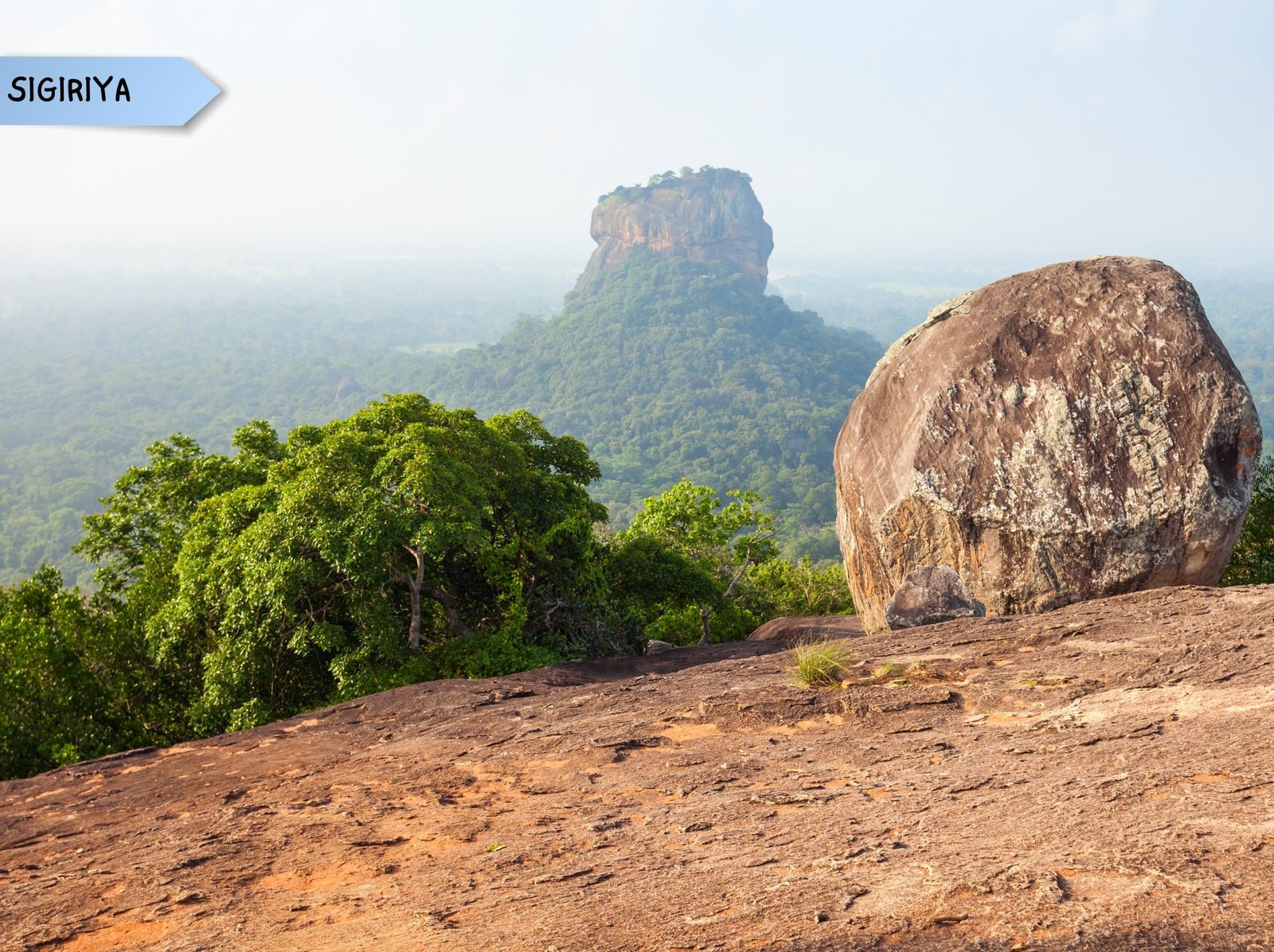 11 DAYS 10 NIGHTS (8)