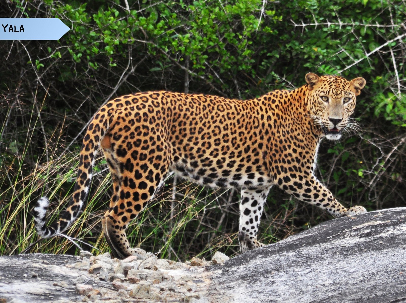 15 DAYS 14 NIGHTS (31)